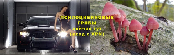 тгк Аркадак