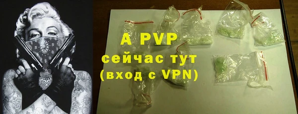 гашик Ростов