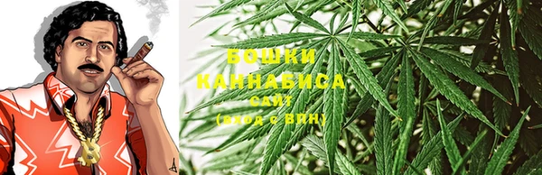 мет Арсеньев