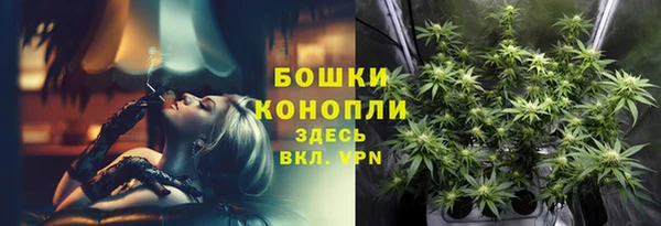 мет Арсеньев